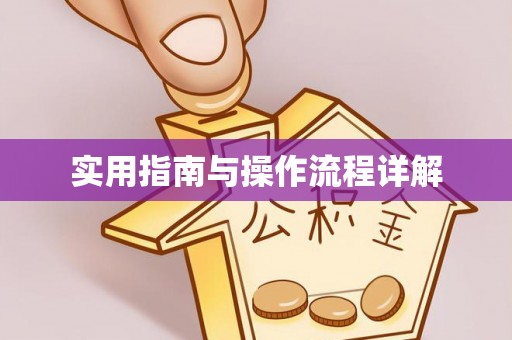 江都实用指南与操作流程详解