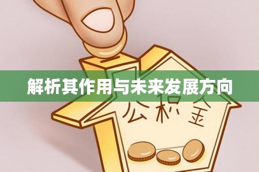 玛纳斯解析其作用与未来发展方向